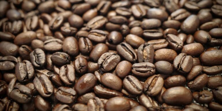 焙煎された珈琲豆 | 光学機器の開発・設計・試作 | 株式会社LABOPT