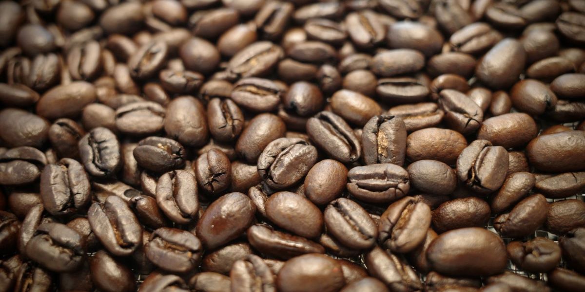 焙煎された珈琲豆 | 光学機器の開発・設計・試作 | 株式会社LABOPT